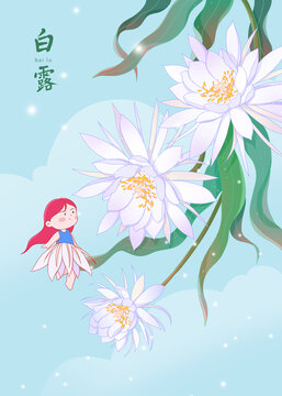 小清新二十四節(jié)氣曇花白露