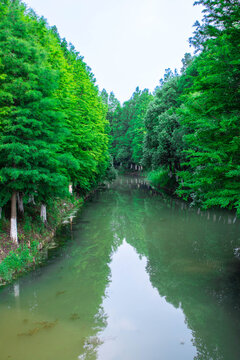 河道