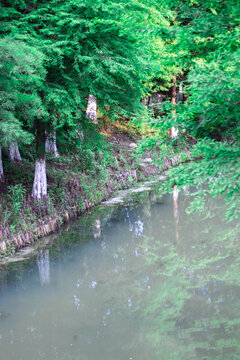 河道