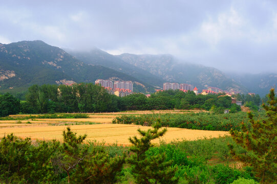 田园美景