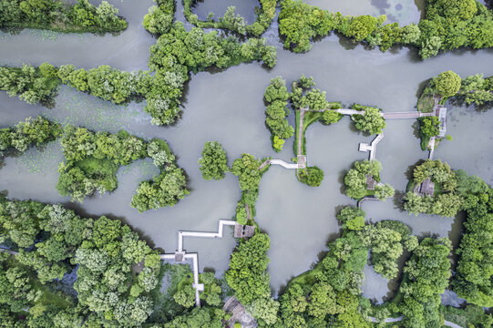 杭州西溪湿地