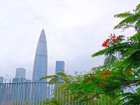 深圳华润春笋大夏