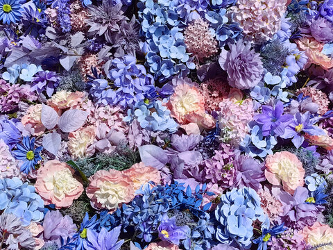 万紫千红花团锦簇
