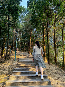 登山台阶道