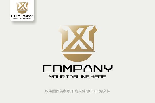 IX商业服务咨询公司logo