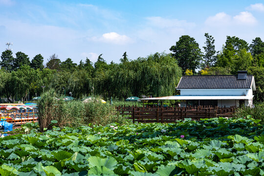 济宁古南池公园