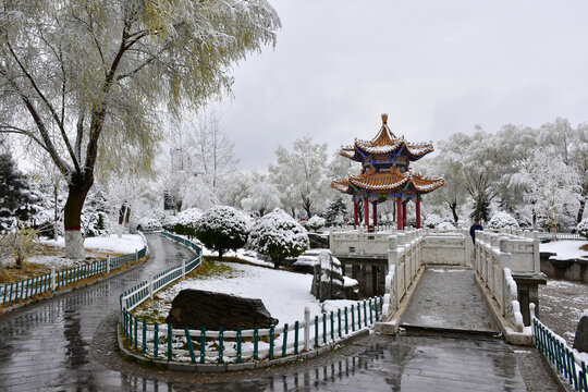 公园雪景