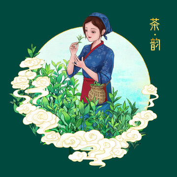 采茶女插画