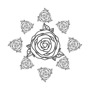 花纹玫瑰