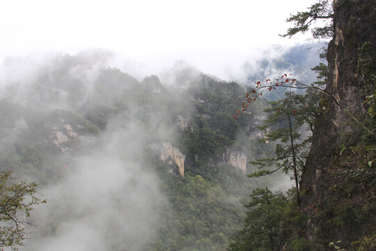 光雾山