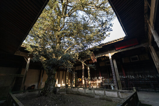 郭洞村何氏宗祠