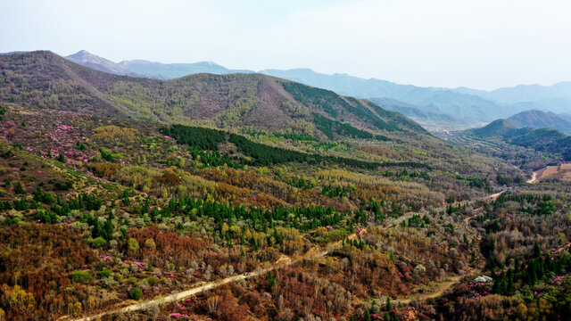 初夏凤凰山