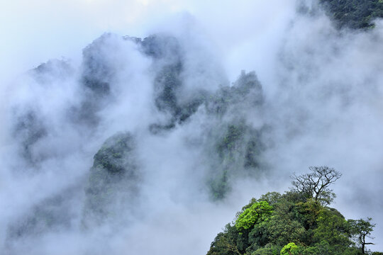 广西金秀圣堂山景观