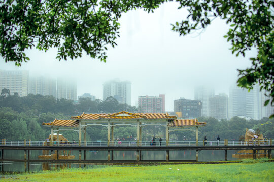 烟雨麓湖