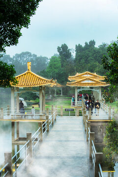 烟雨麓湖