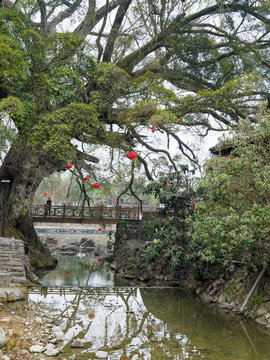 福建土楼南靖土楼云水谣景区