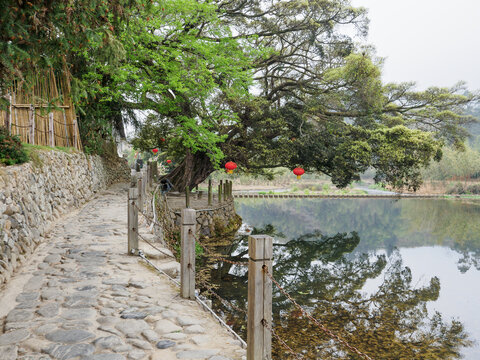 福建土楼南靖土楼云水谣景区