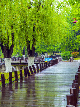 雨后公园风景