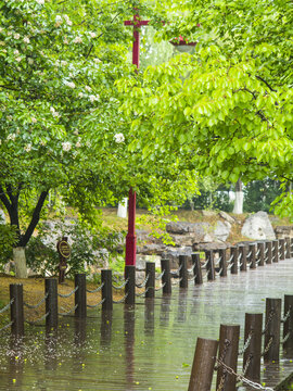 雨后公园小景