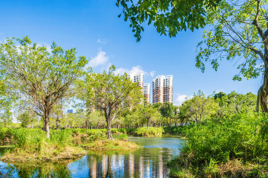 三亚市湿地公园城市住宅景观