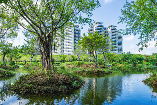 三亚市湿地公园城市住宅景观