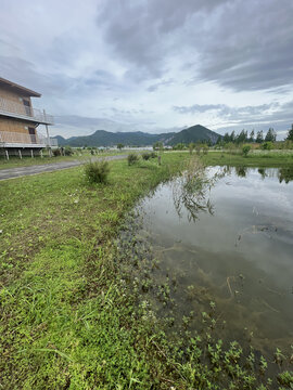 水池