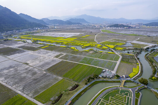 温州瑞安曹村镇