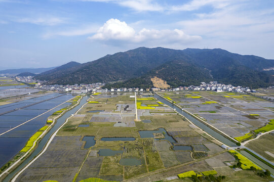 溫州瑞安曹村鎮(zhèn)