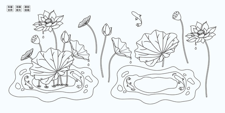 矢量荷花荷叶线稿