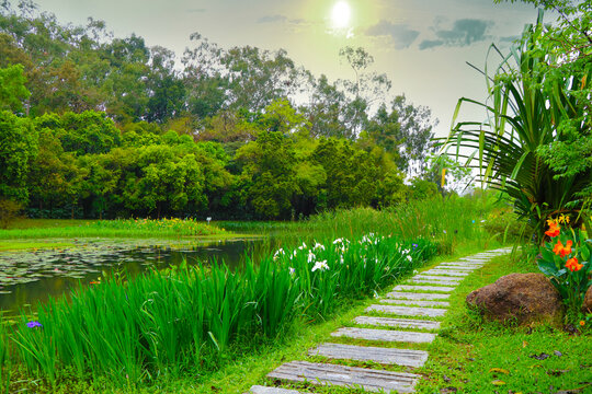 石板路池塘风景