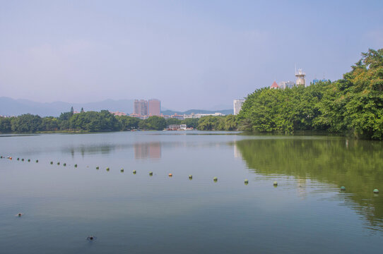 福州左海公园湖泊风光