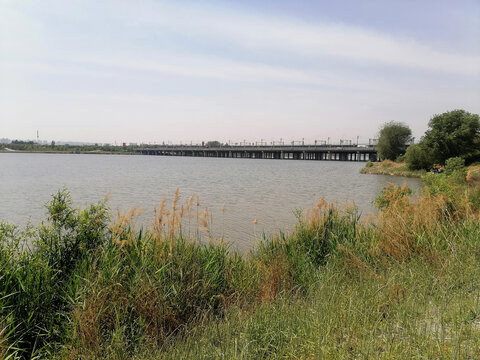 石家庄滹沱河生态湿地