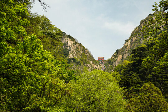 泰山红门