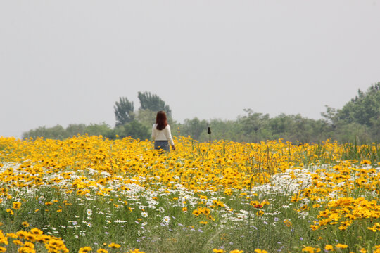 花与少女