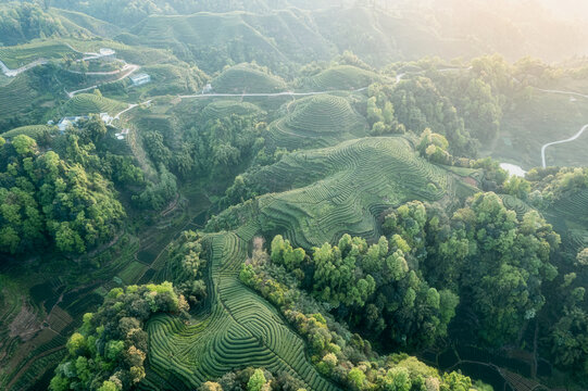 大地指纹