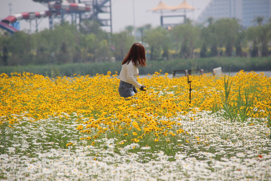 花与少女