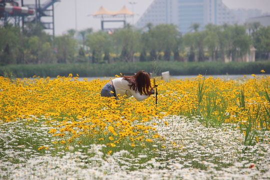 花儿与女孩