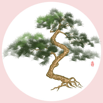 松樹素材