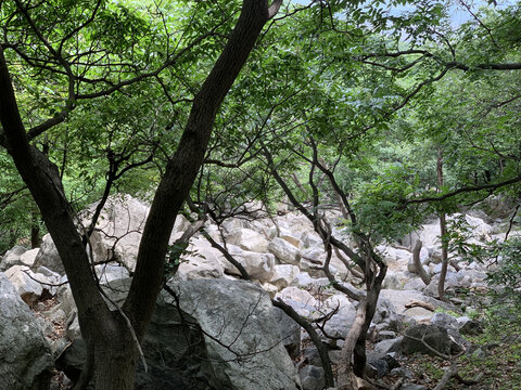 河南登封嵩山中岳庙名胜