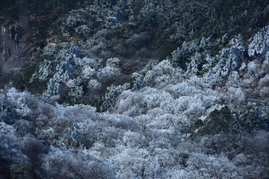 黄山旅游黄山风光黄山美景