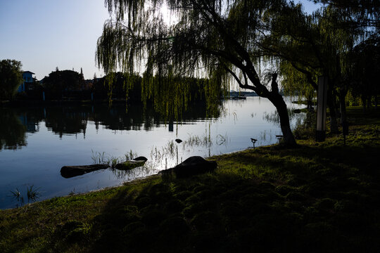 斜塘河风光