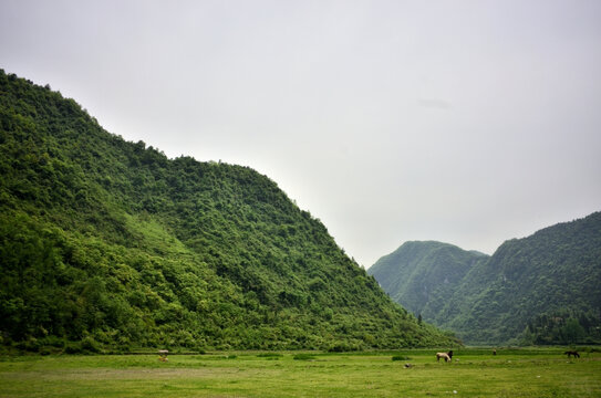 宣恩洗草坝1