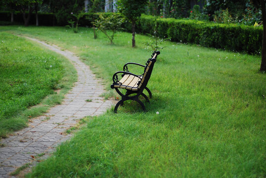 绿色草地上有一个休闲长椅