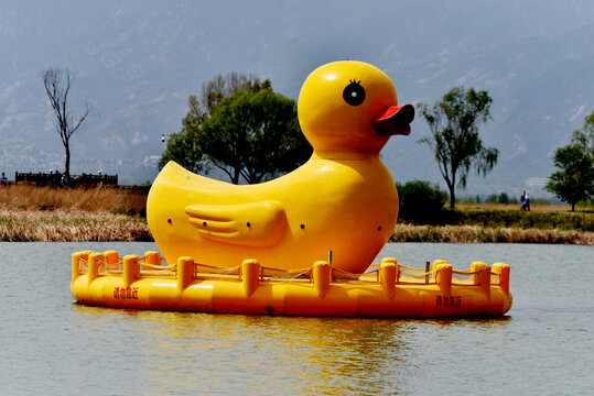 水上巨型大黄鸭