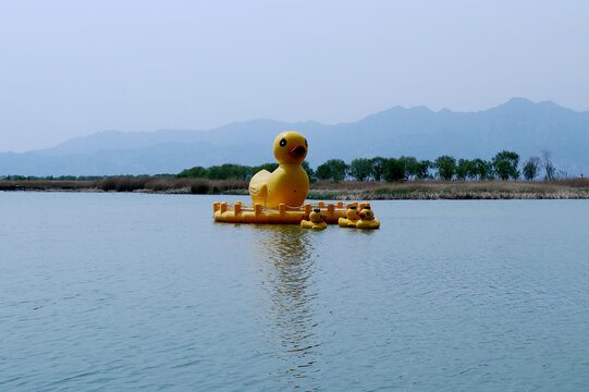 水上巨型大黄鸭