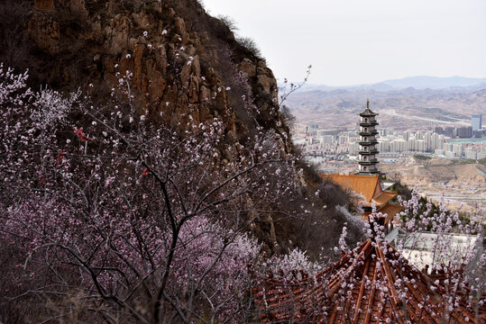 张家口鸡鸣山春色