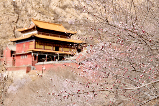 张家口鸡鸣山