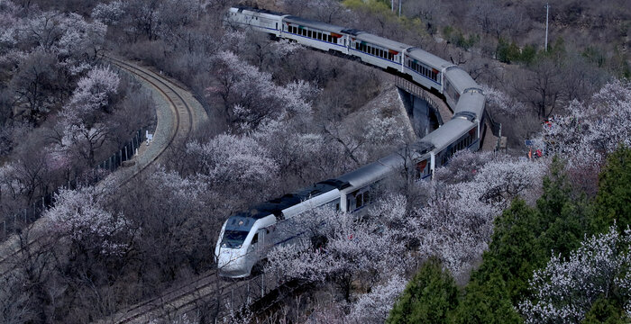 花海列車(chē)