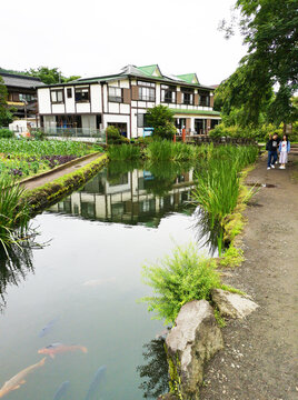 日本东京忍野八海风景