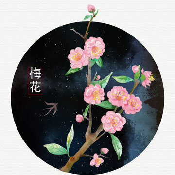 水彩手繪梅花插畫